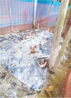 Photo of মো: তানভীর ছিদ্দিকী